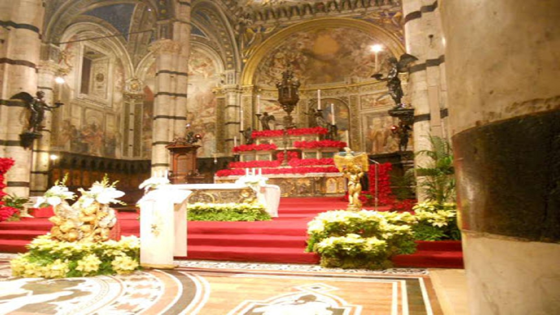 Messe Della Vigilia Di Natale Messa-vigilia-di-Natale | IVO Play